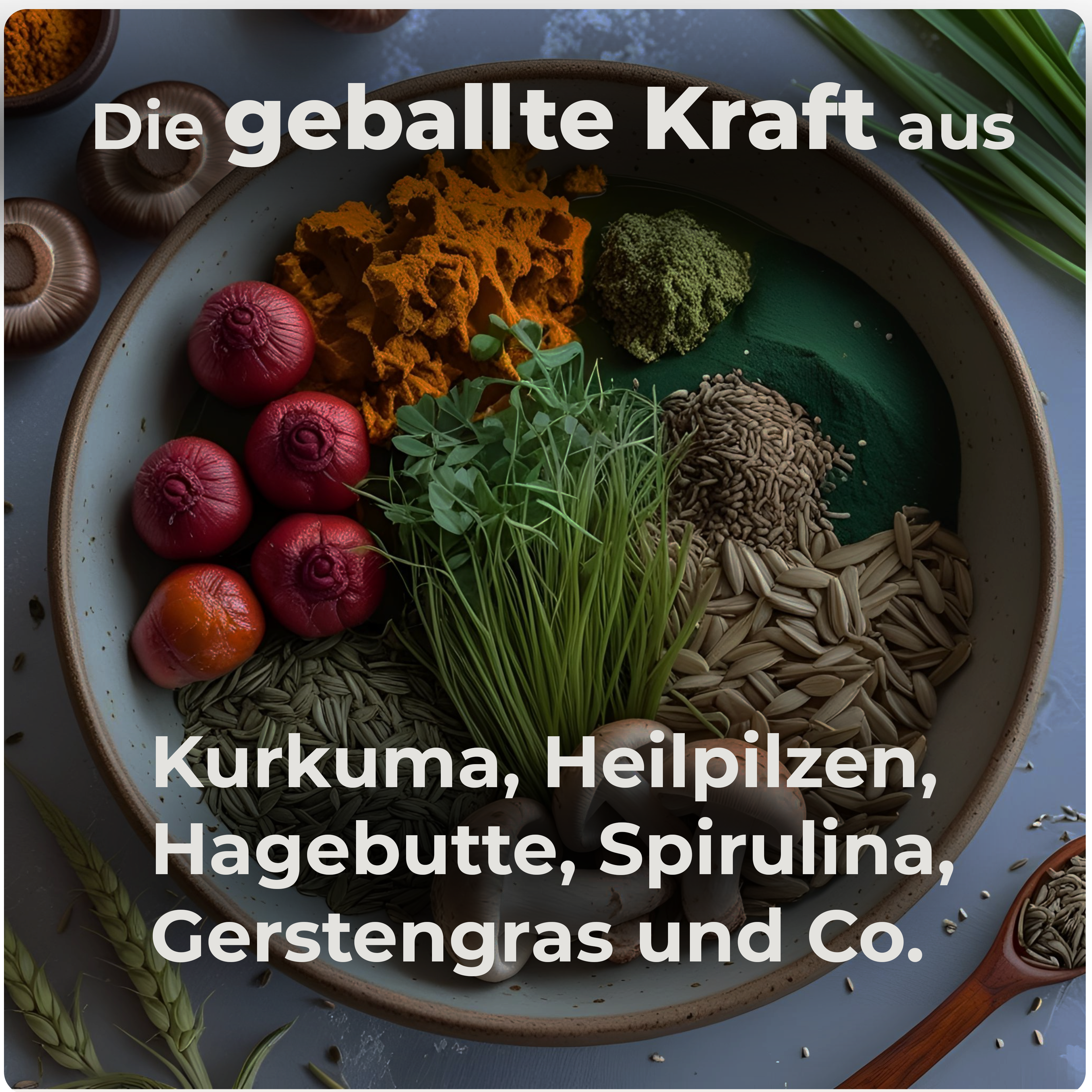 Boneshands Immunpulver