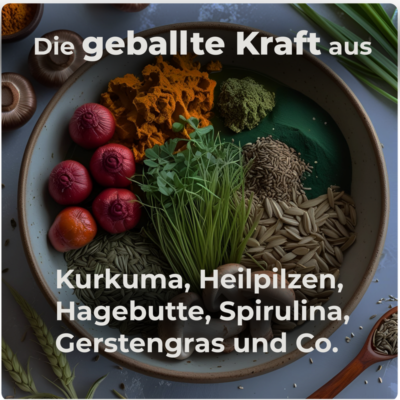 Boneshands Immunpulver