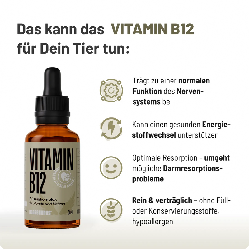 Boneshands Vitamin B12