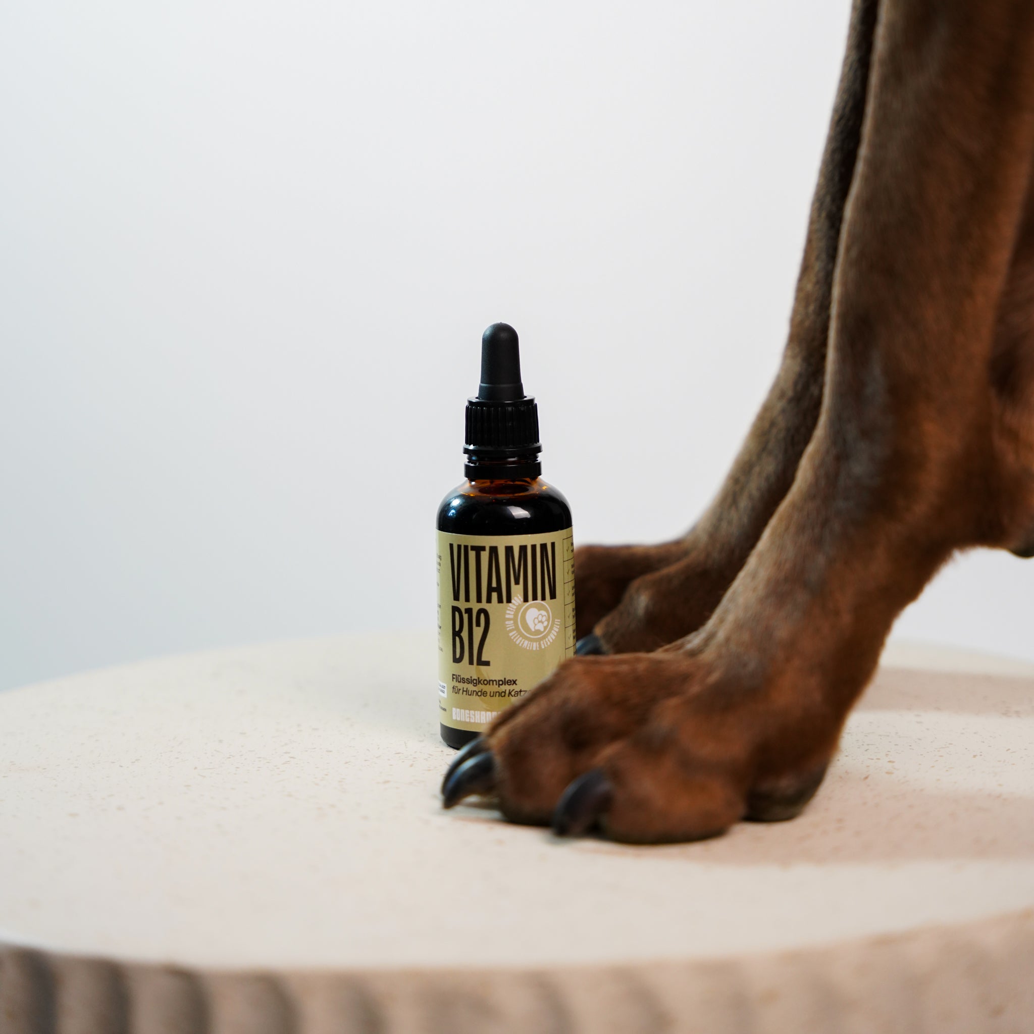 B12 Vitamin