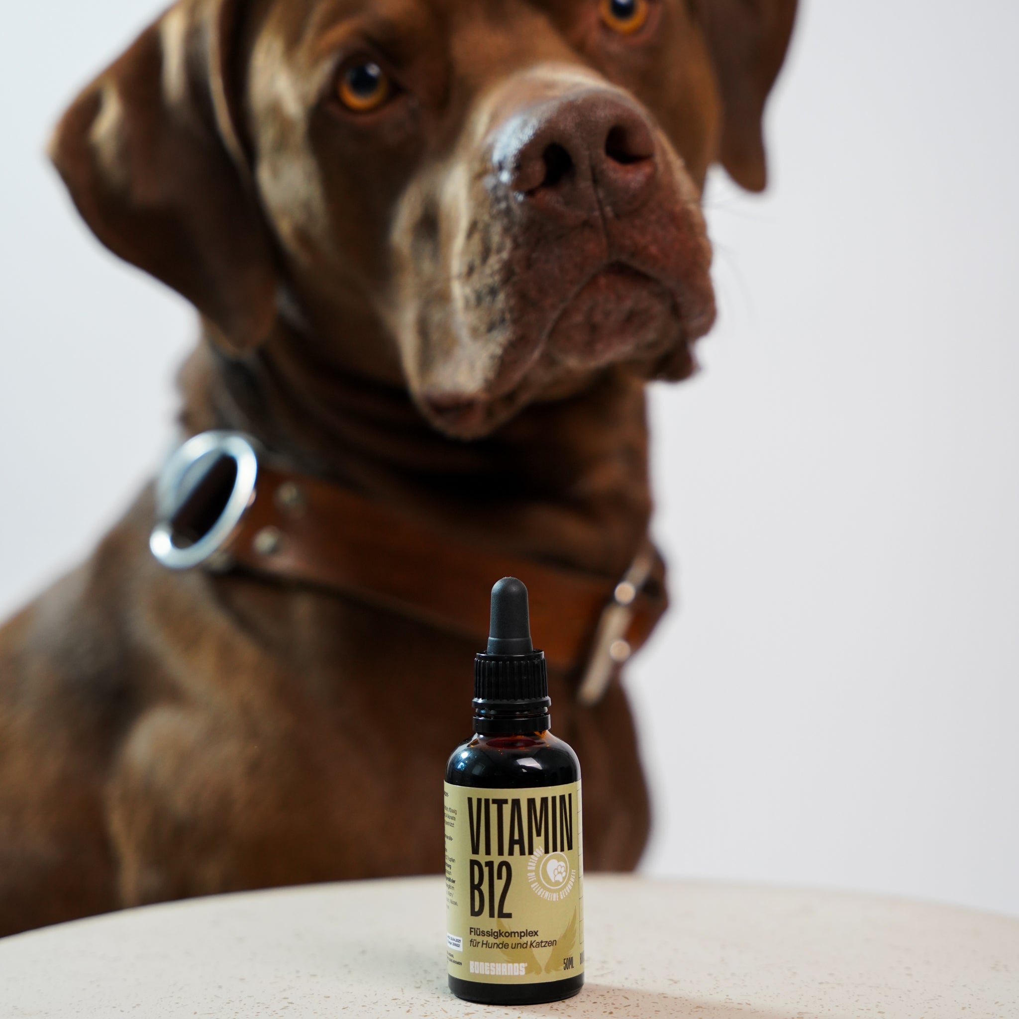 B12 Vitamin