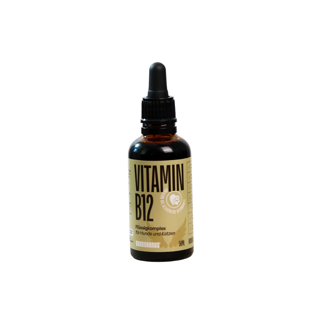 B12 Vitamin