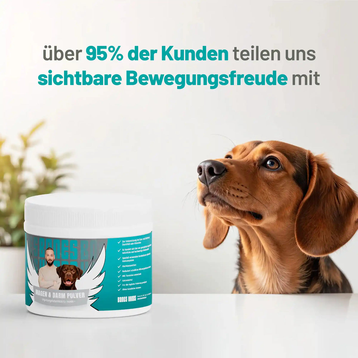Random promotional image