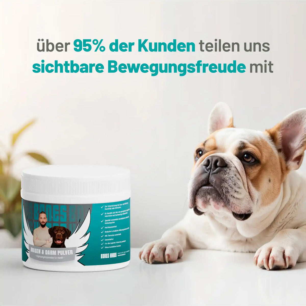 Random promotional image