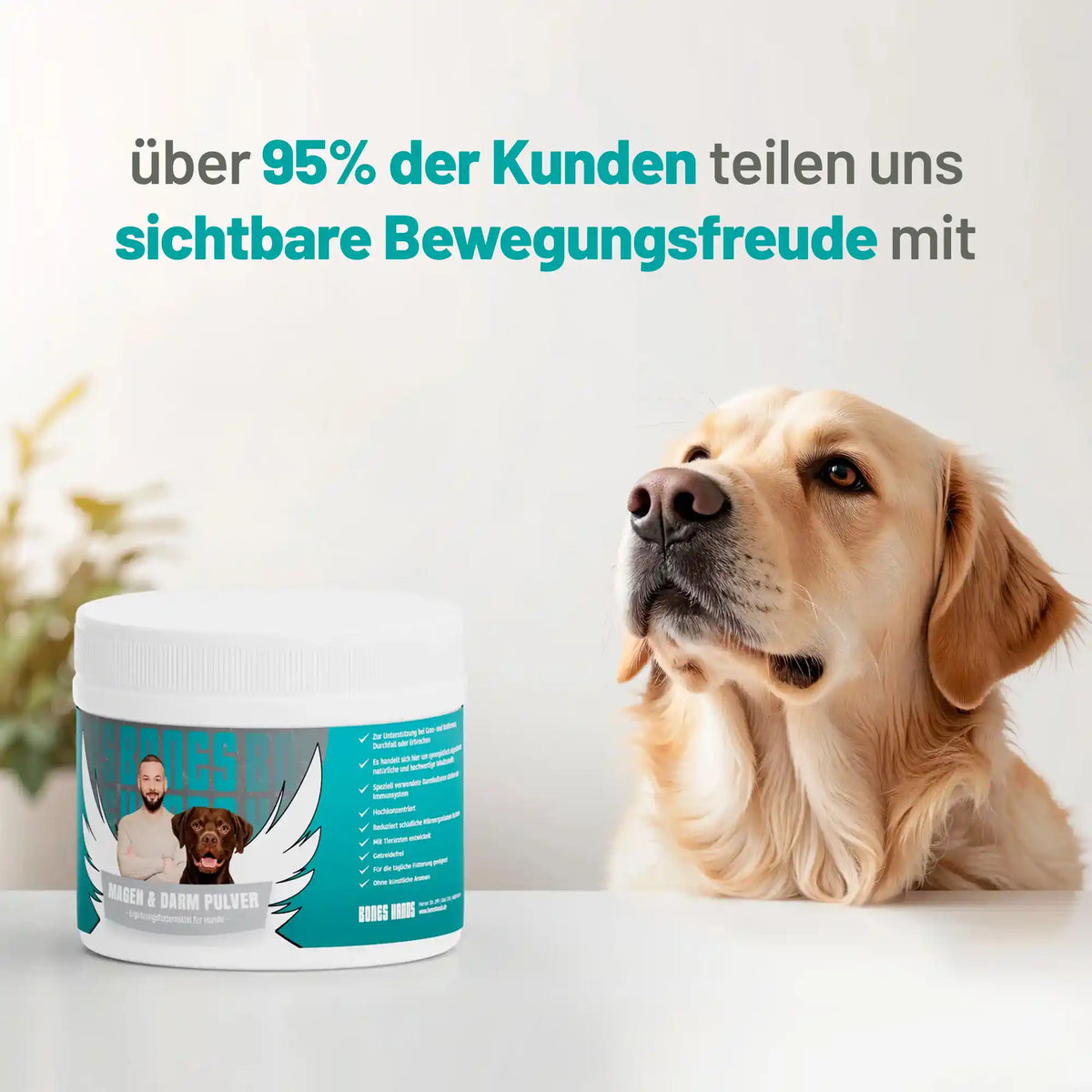 Random promotional image