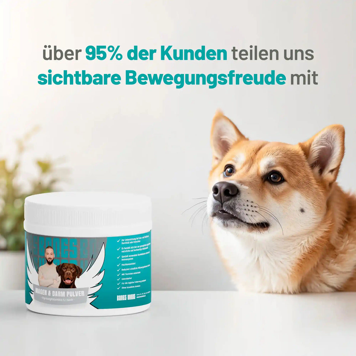 Random promotional image
