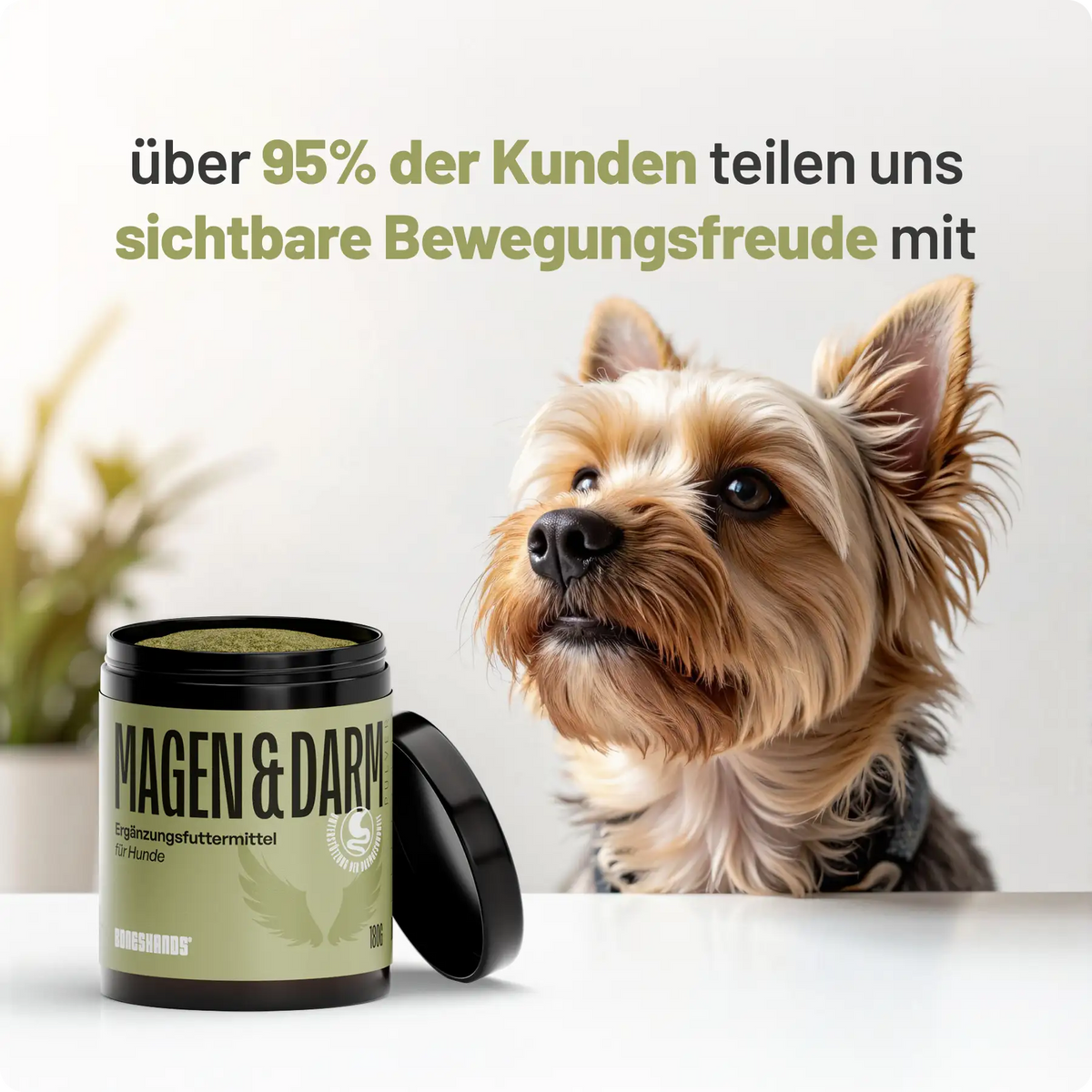 Random promotional image
