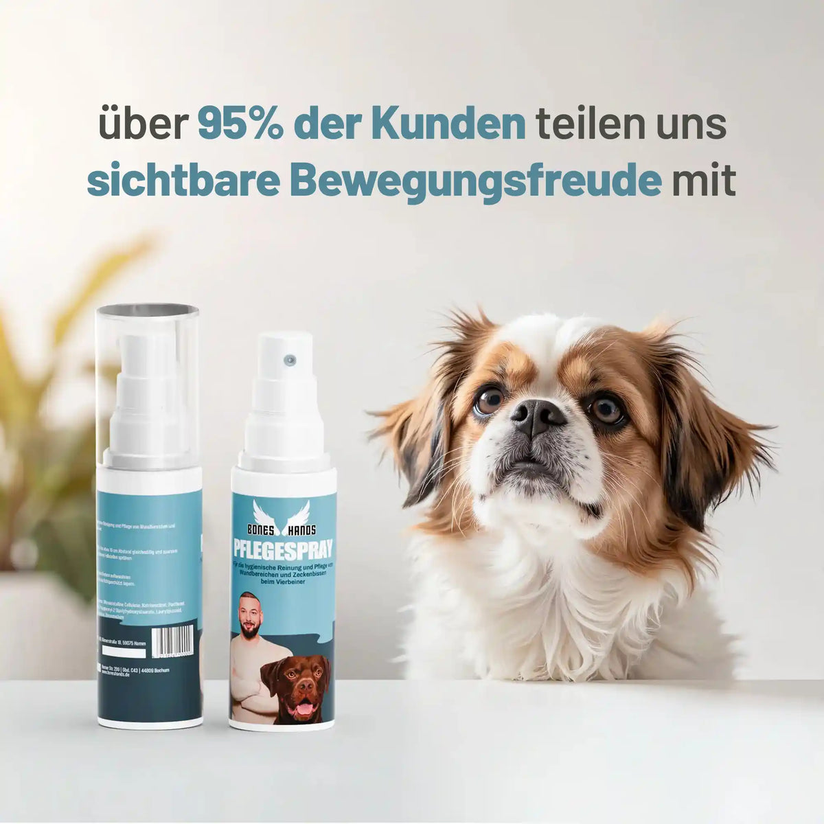 Random promotional image