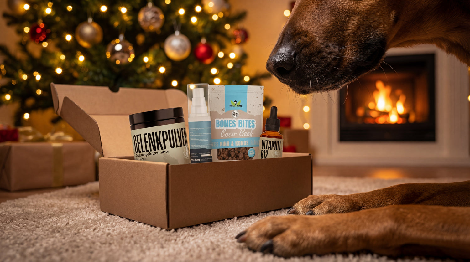 Der letzte Schlitten: Dein Zeitfenster für Heiligabend