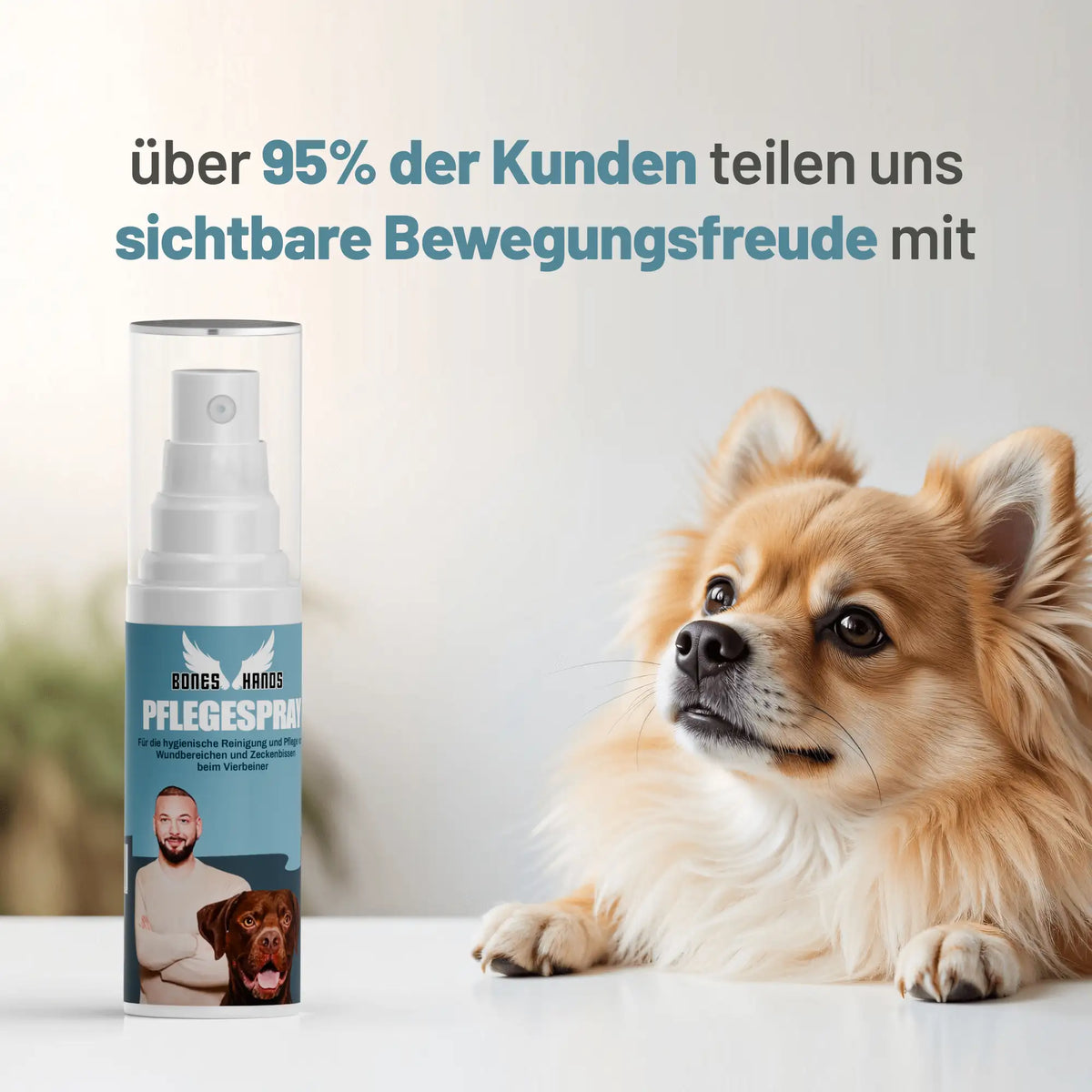 Random promotional image