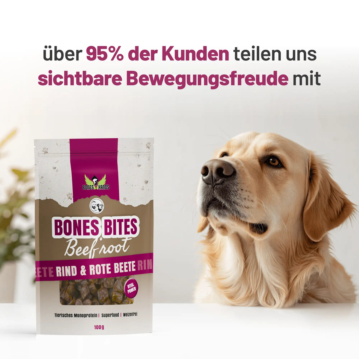 Random promotional image