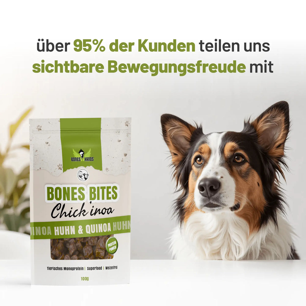 Random promotional image