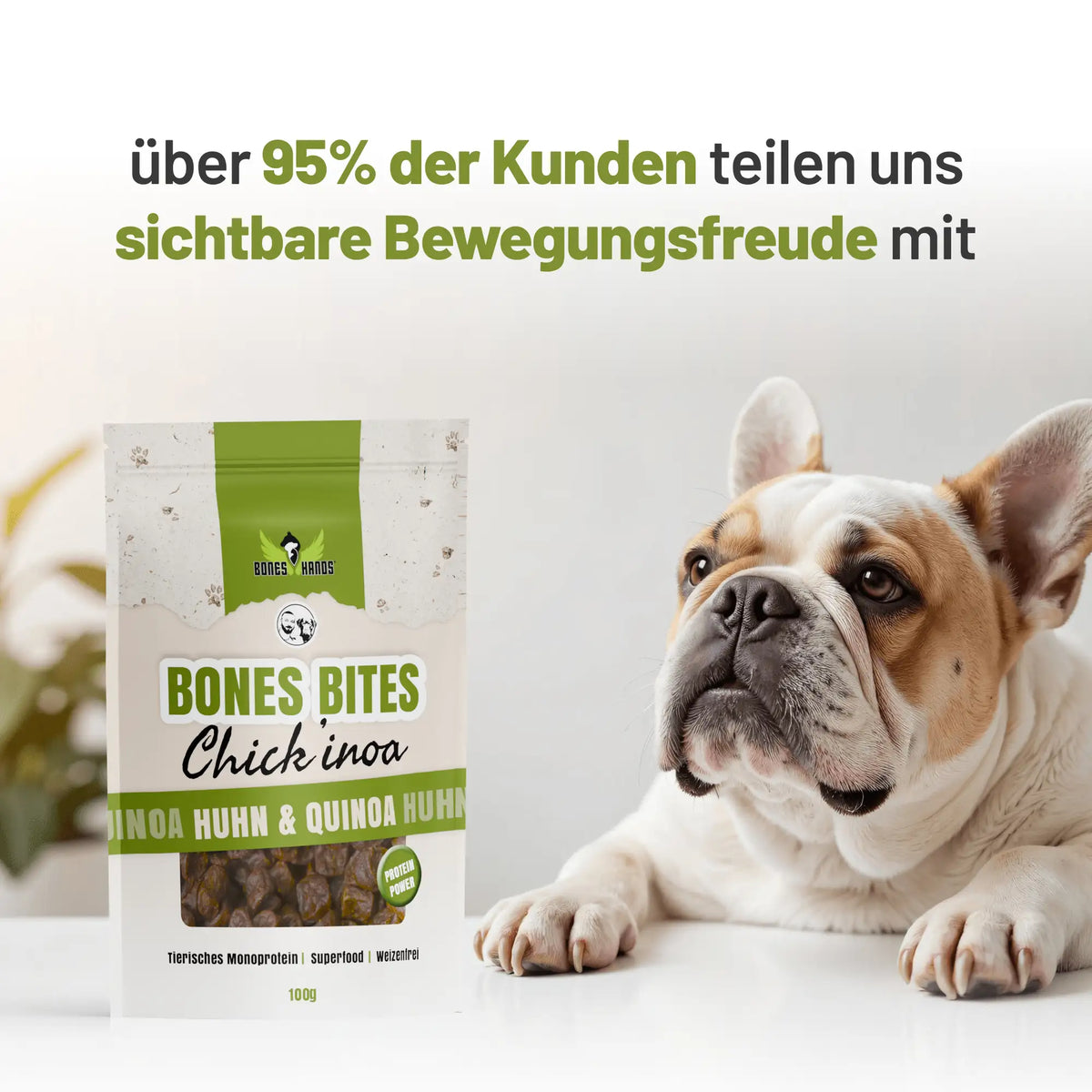 Random promotional image