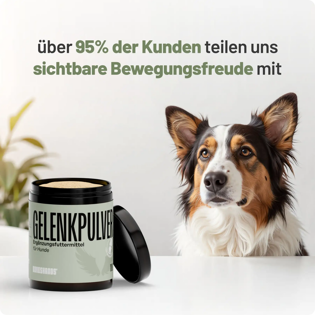 Random promotional image