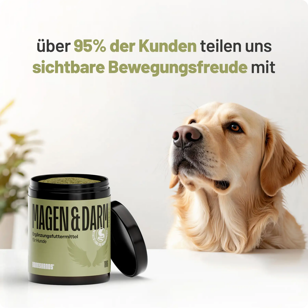 Random promotional image