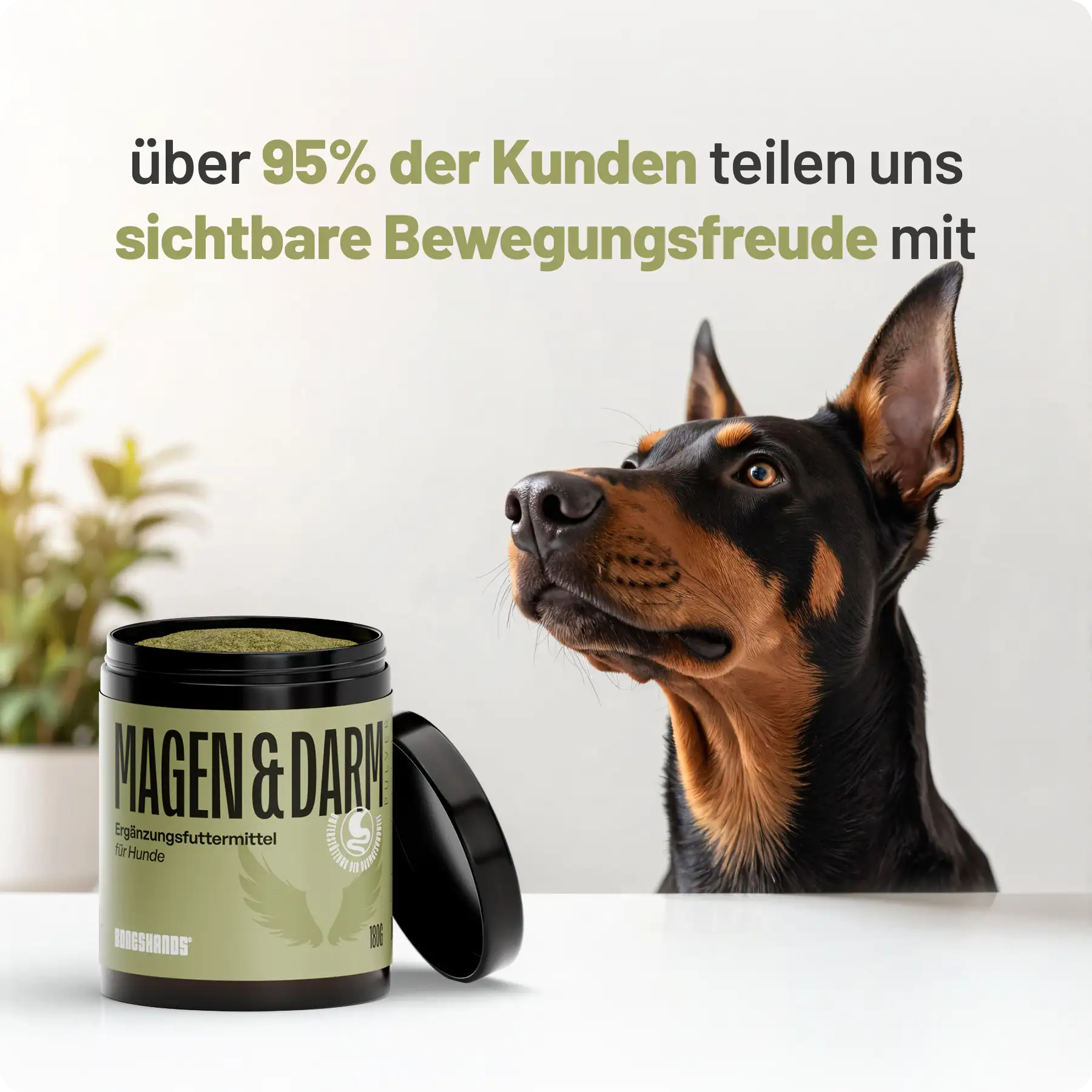 Boneshands Magendarmpulver