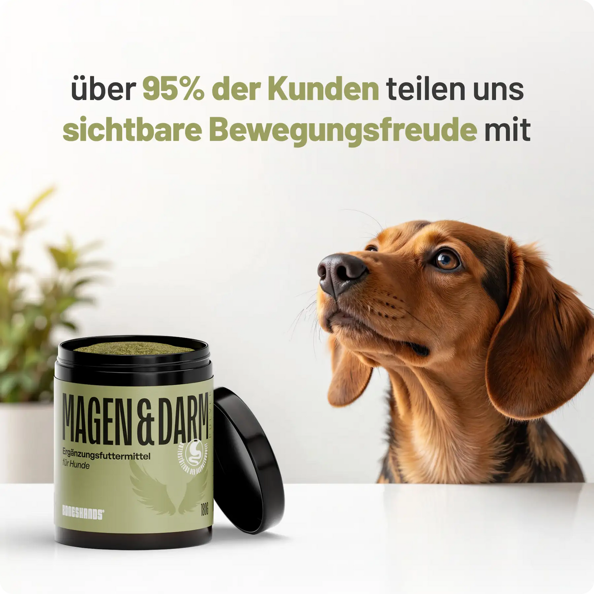 Random promotional image