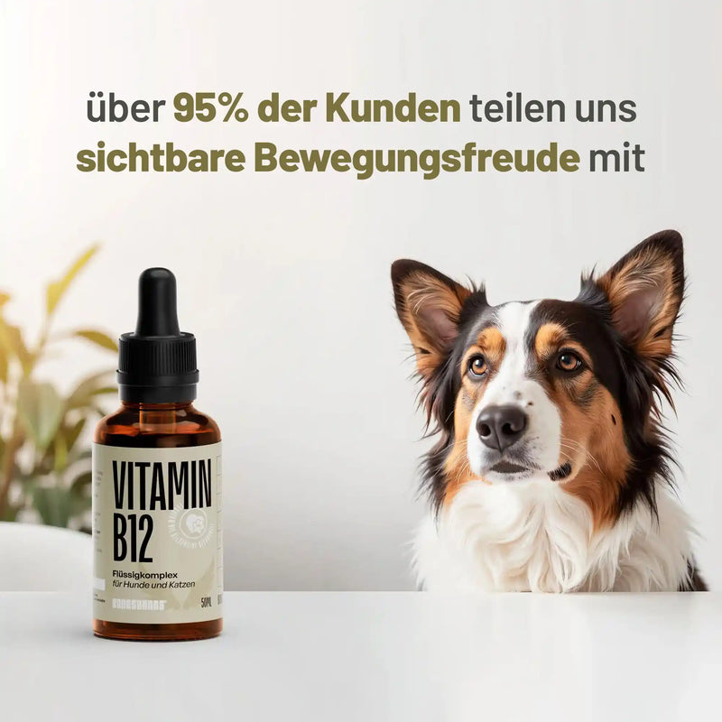 Random promotional image thumbnail