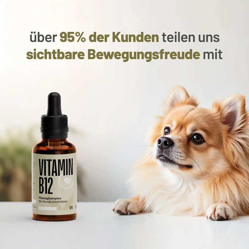 Random promotional image thumbnail