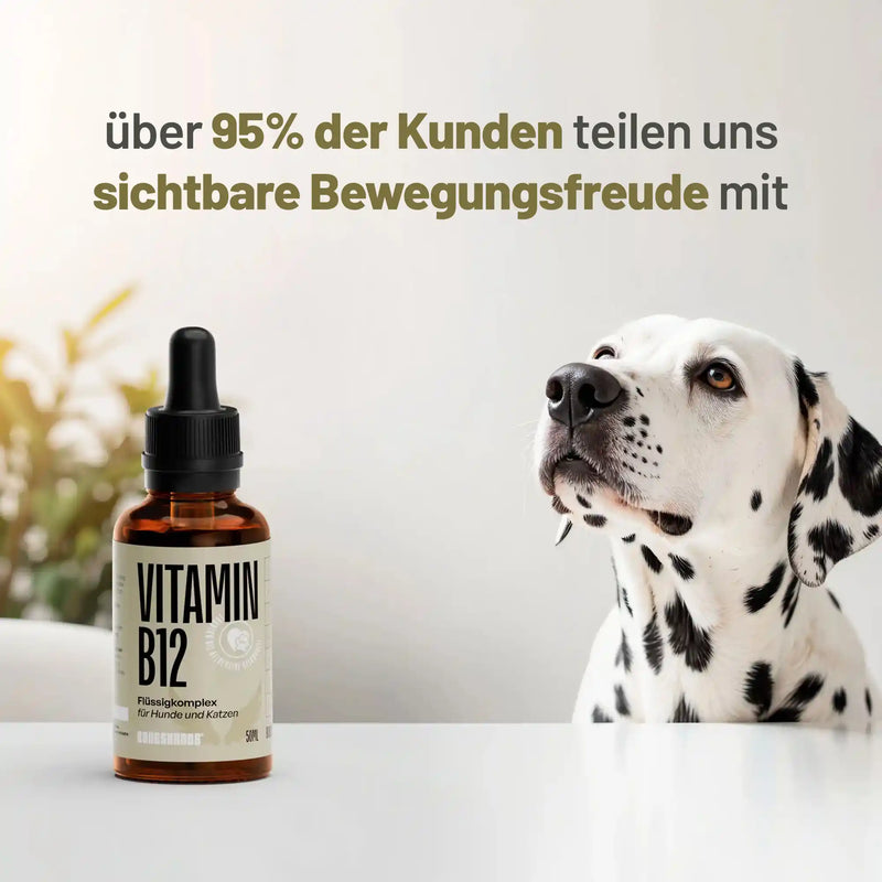 Random promotional image thumbnail