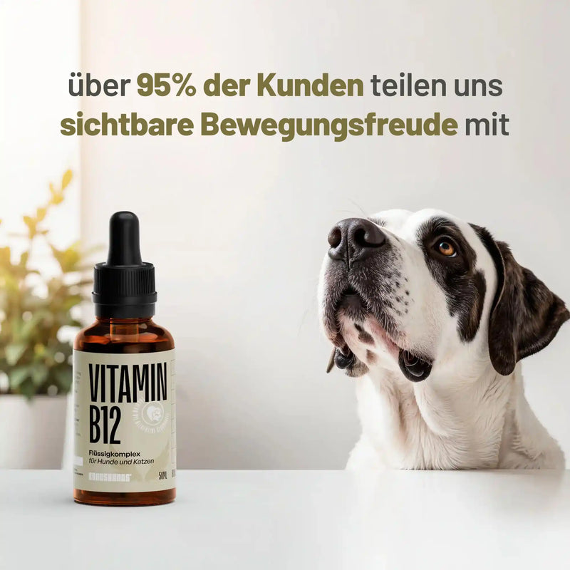 Random promotional image thumbnail