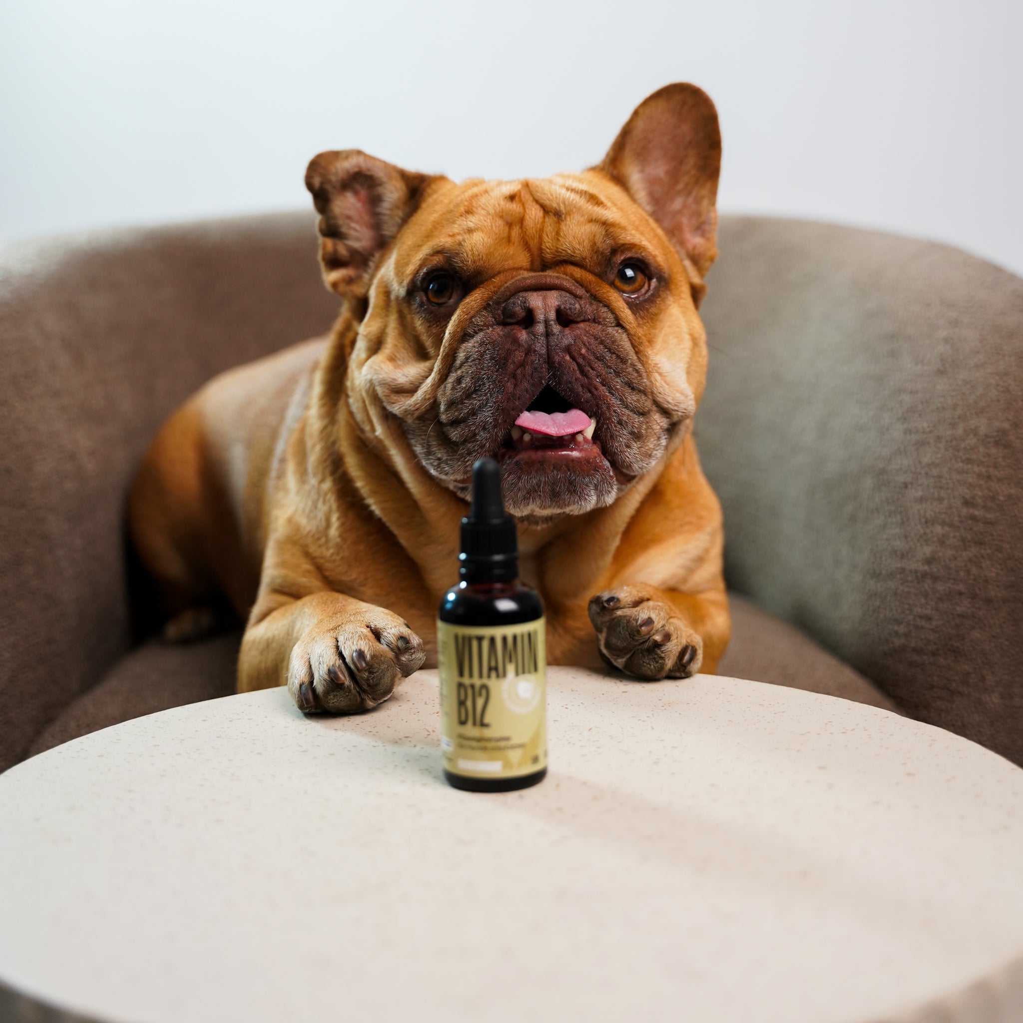 Boneshands Vitamin B12