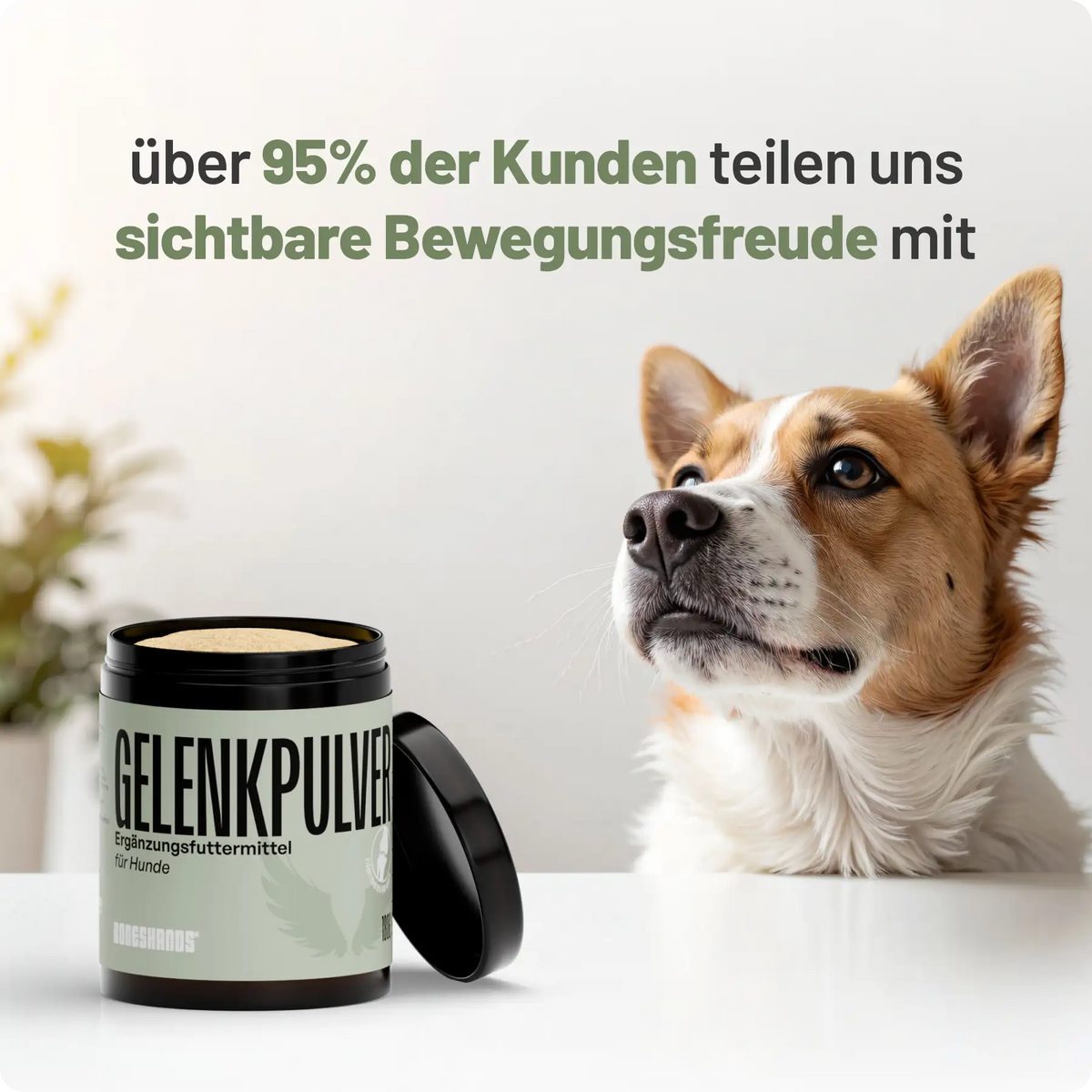 Random promotional image