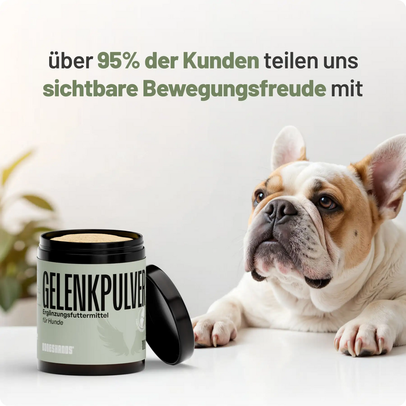 Random promotional image thumbnail