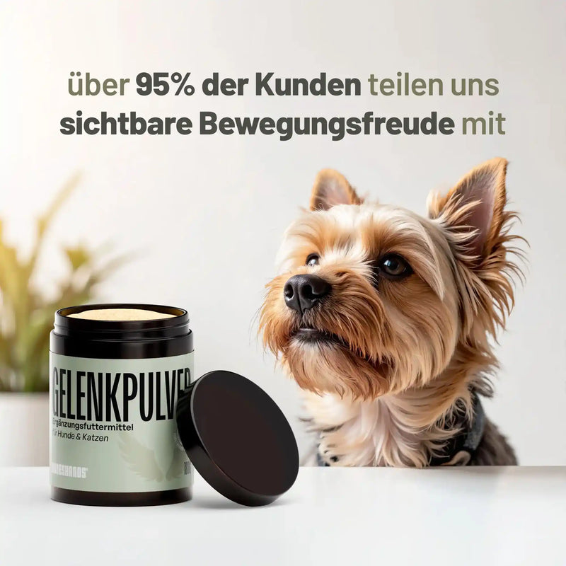 Random promotional image thumbnail