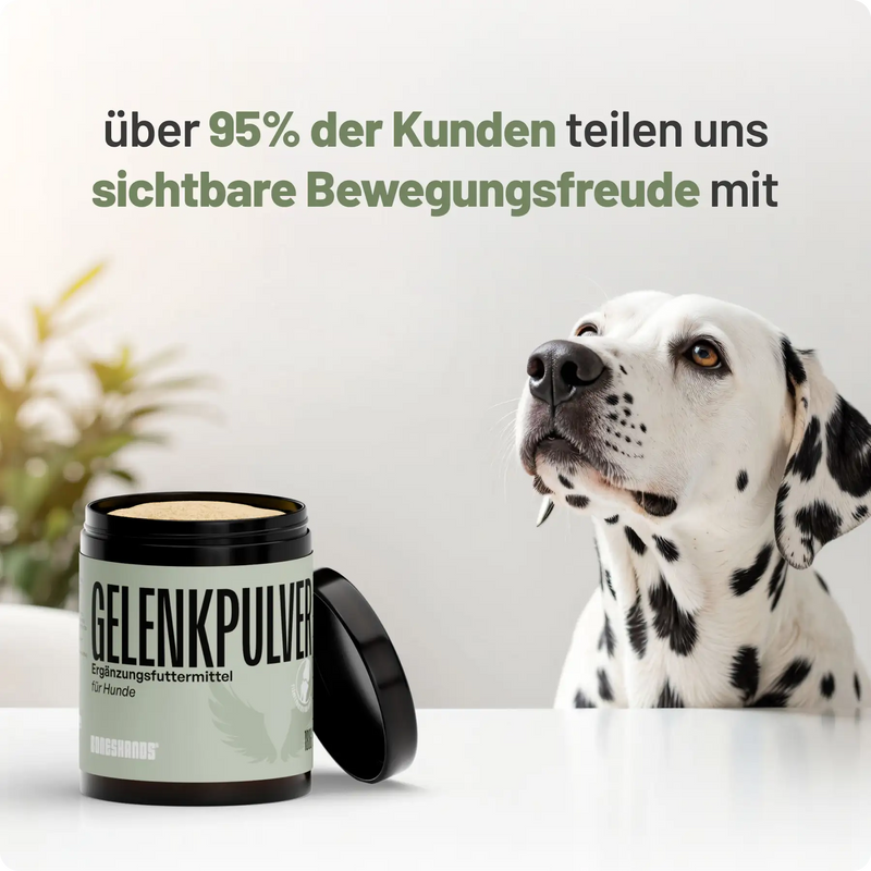 Random promotional image thumbnail