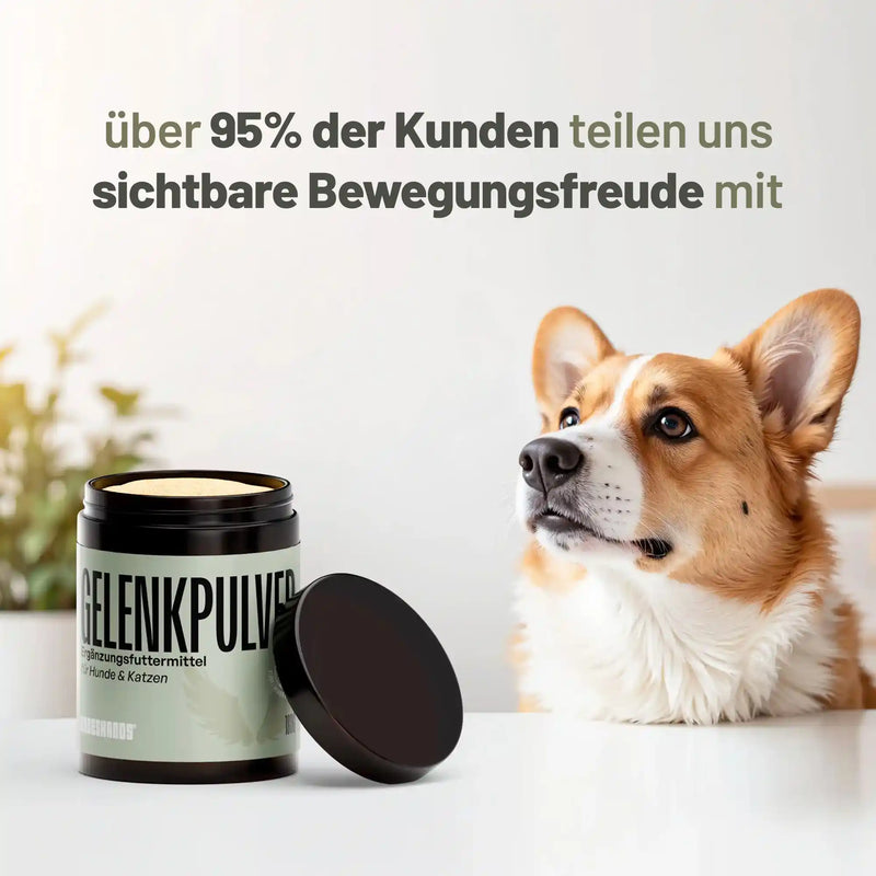 Random promotional image thumbnail