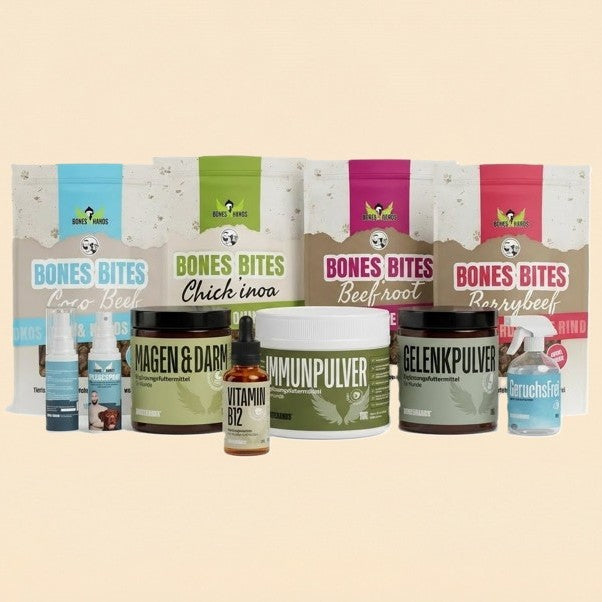 Boneshands Starter XL