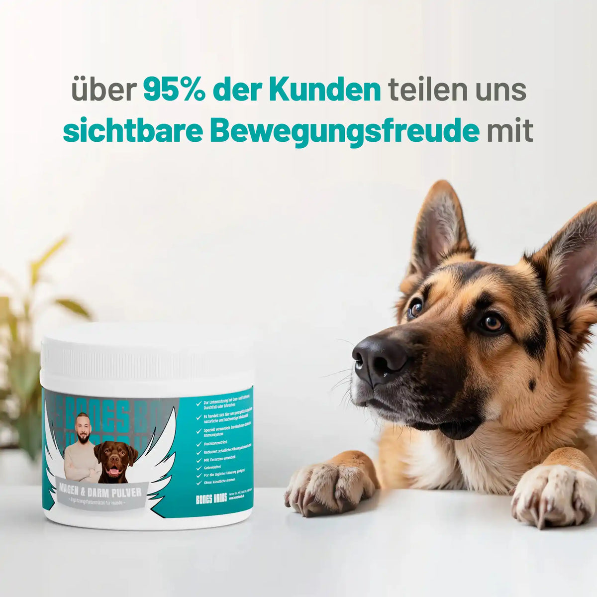 Random promotional image