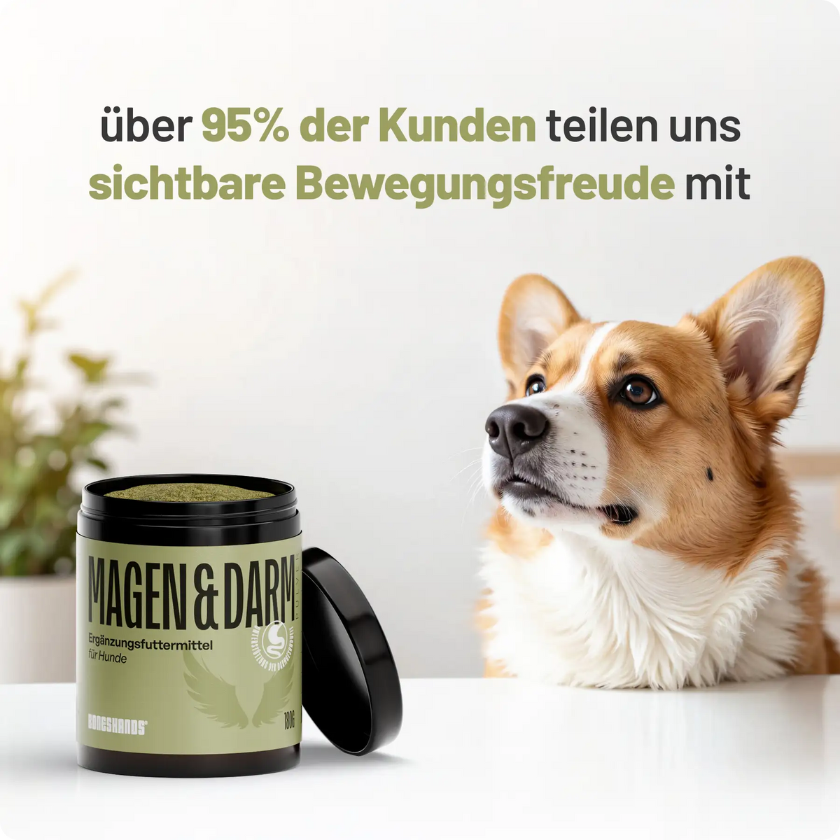 Random promotional image