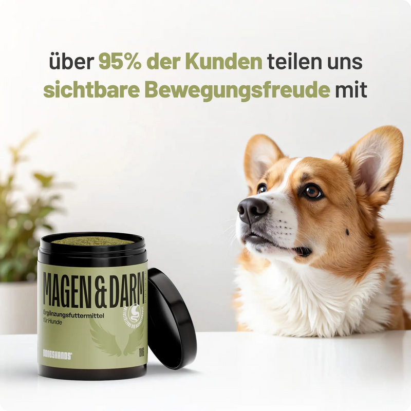 Random promotional image thumbnail