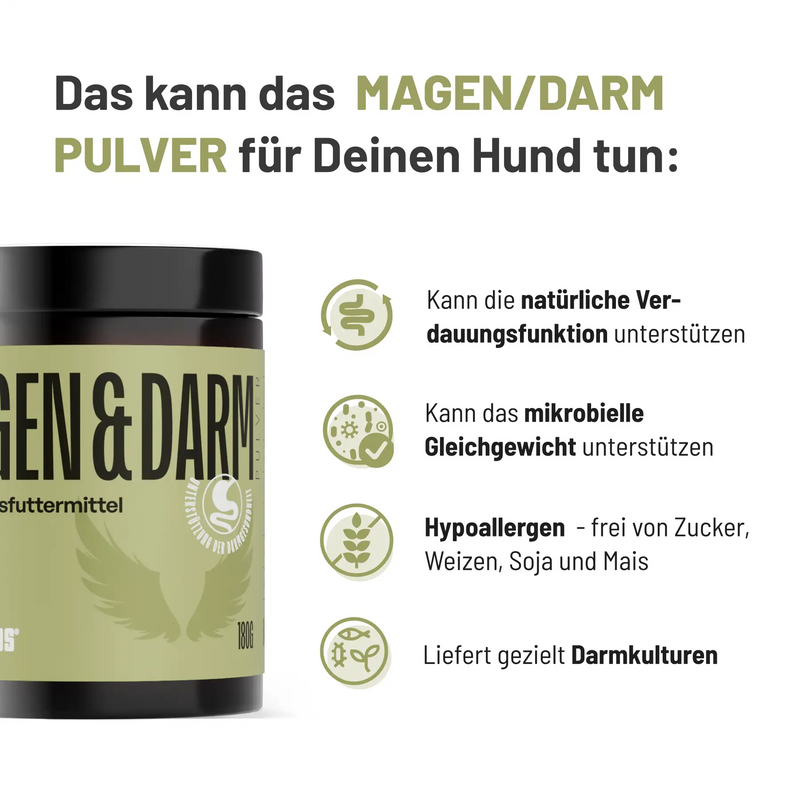 Stomach/intestinal powder for dogs