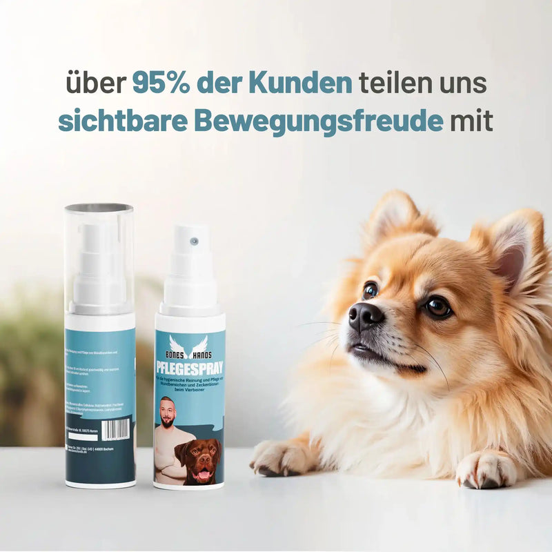 Random promotional image thumbnail