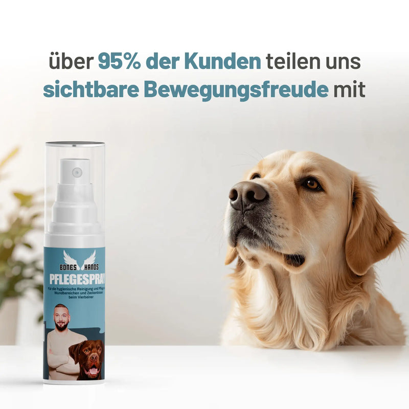 Random promotional image thumbnail