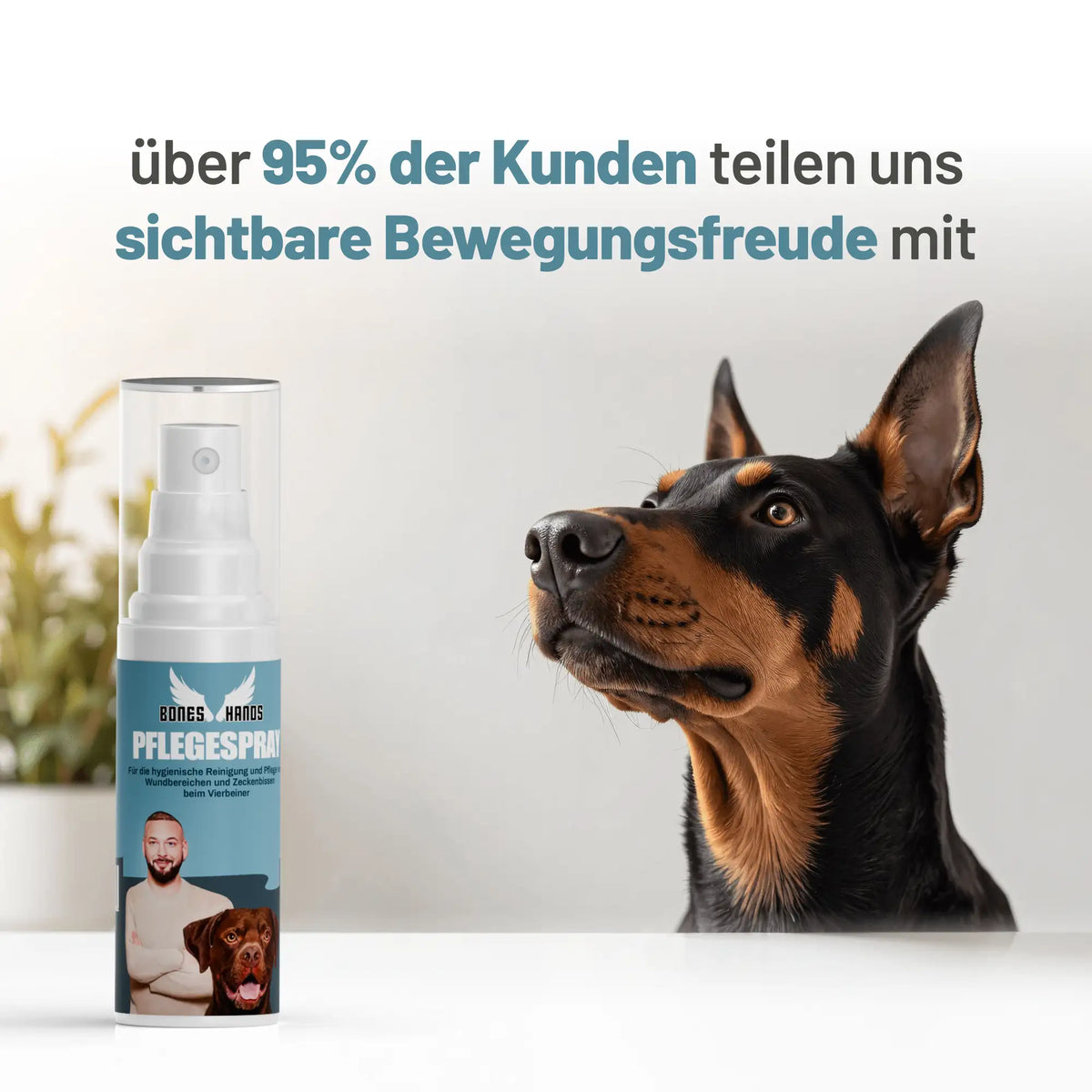 Random promotional image